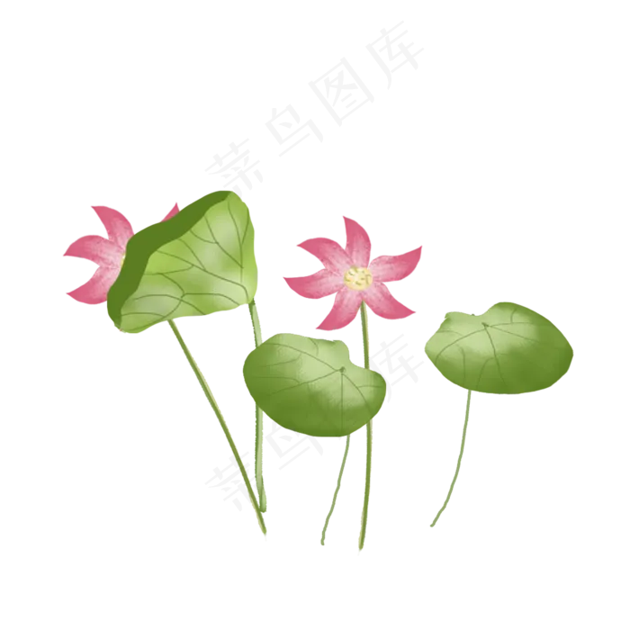 荷花绿色粉红(2000X2000(DPI:300))psd模版下载