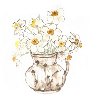 淡雅的水仙花 淡雅的水仙花