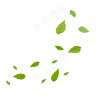 落叶缤纷,免抠元素