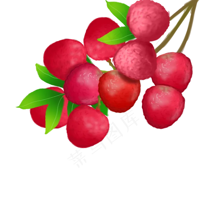果水果果子荔枝晶莹剔透(2000X2000(DPI:300))psd模版下载