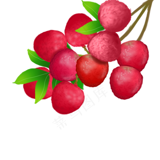 果水果果子荔枝晶莹剔透