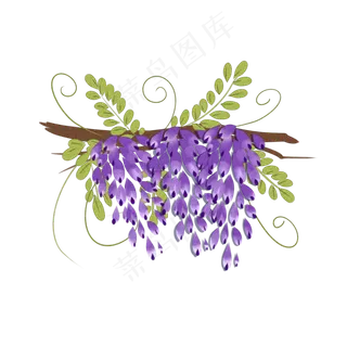 水彩中国风紫藤花透明底免抠