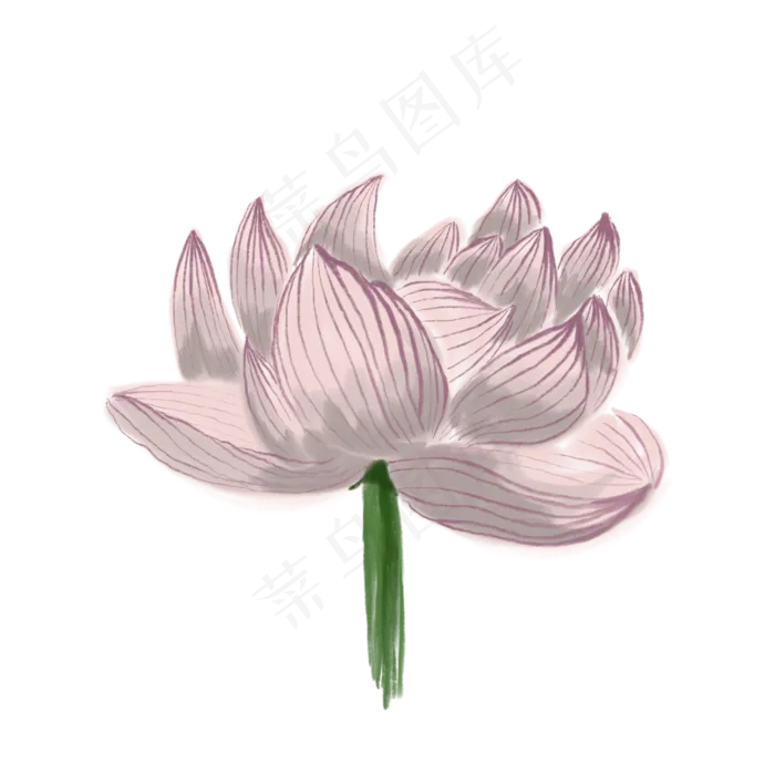 紫色的盛开的荷花免抠装饰(2000X2000(DPI:132))psd模版下载