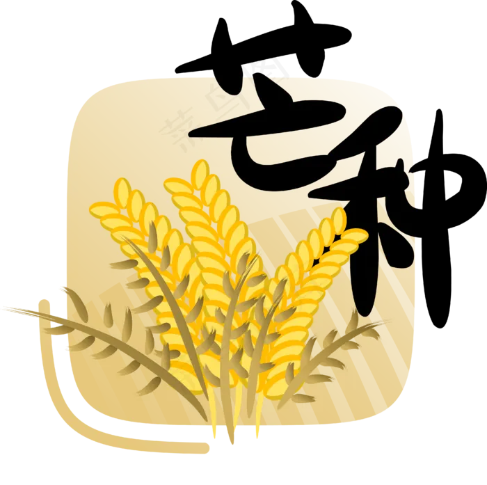 二十四节气芒种字样(4078*4063px 300 dpi )ai矢量模版下载