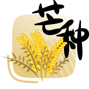 二十四节气芒种字样
