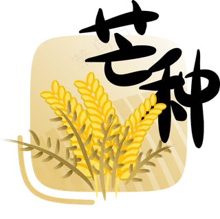 二十四节气芒种字样