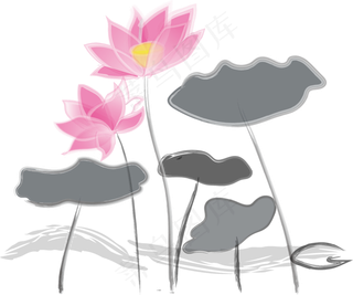 中国风水墨花荷花荷叶