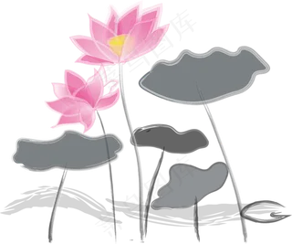 中国风水墨花荷花荷叶