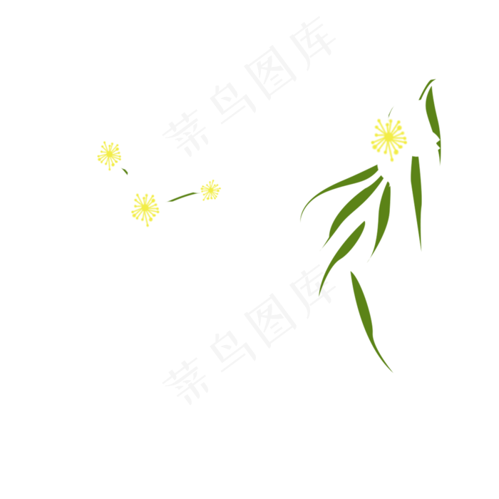 美丽的白色花朵下载
