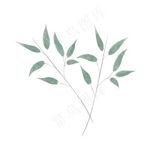 水彩春天绿色植物叶子