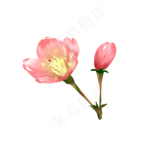 桃花开粉色手绘装饰图案