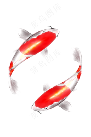 手绘红色花斑锦鲤