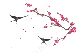中国风水彩手绘花鸟,免抠元素