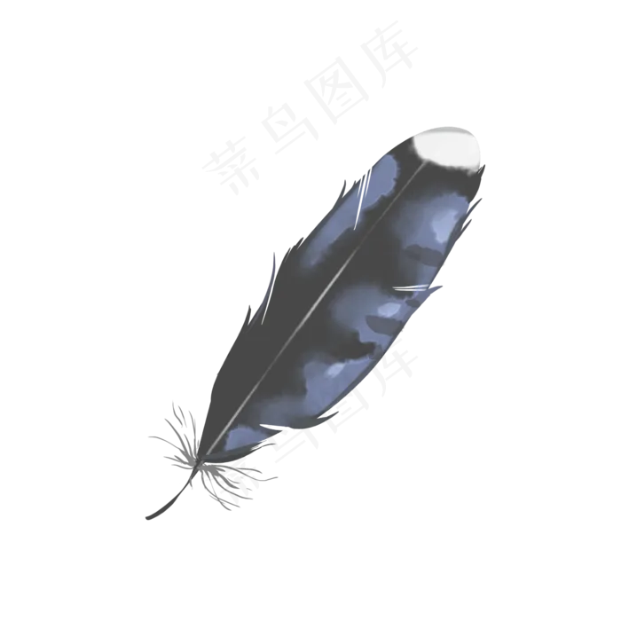 黑蓝色水彩水粉装饰羽毛(2362X2362(DPI:300))psd模版下载