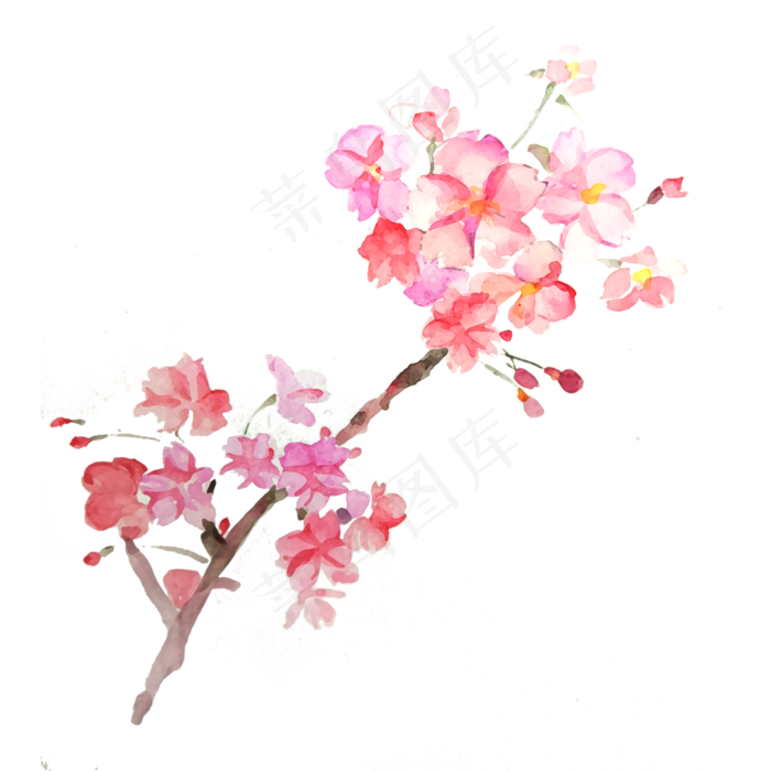 樱花花枝粉色唯美春天PNG,免抠元素(3000X3000(DPI:300))psd模版下载