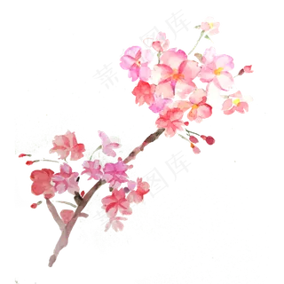 樱花花枝粉色唯美春天PNG,免抠元素