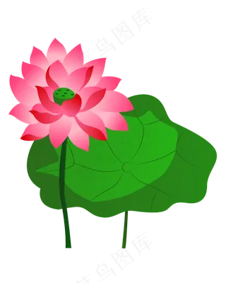 矢量卡通粉色莲花