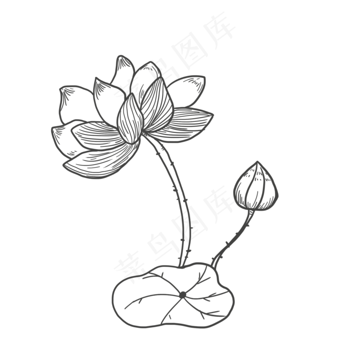 线稿png莲花,免抠元素(2000*2000px 72 dpi )psd模版下载