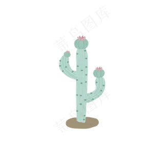 仙人掌植物素材小清新花简洁沙漠