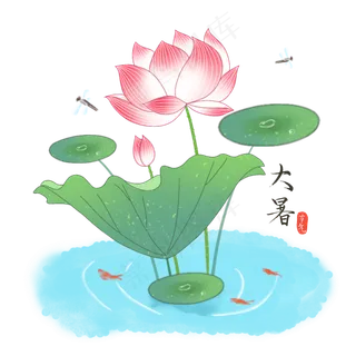 夏季大暑荷花荷叶 夏季大暑荷花荷叶