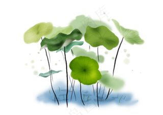 夏至手绘古风荷叶