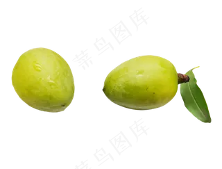 绿色橄榄橄榄果