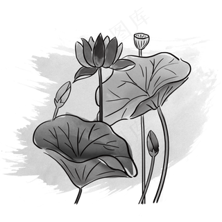 墨痕毛笔手绘黑白荷花png