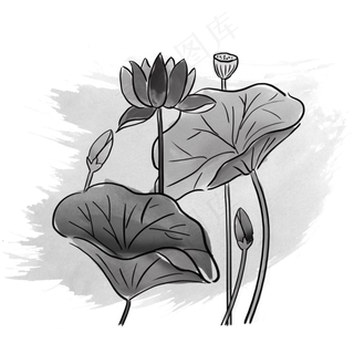 墨痕毛笔手绘黑白荷花png 墨痕毛笔手绘黑白荷花png