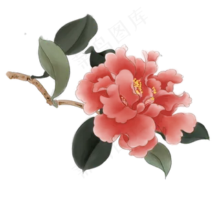 中国风手绘牡丹花,免抠元素
