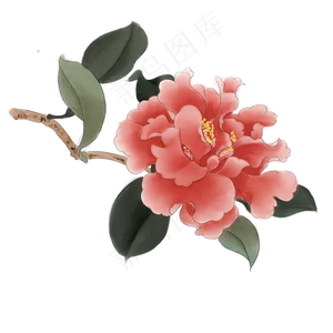 中国风手绘牡丹花,免抠元素