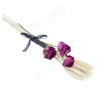 晒干玫瑰干花大麦穗