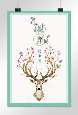 夏至 菜鸟图库原创