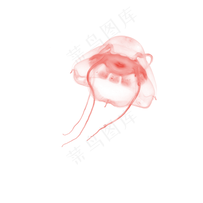 水彩红色水母水墨画(2000X2000(DPI:300))psd模版下载