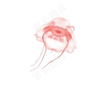 水彩红色水母水墨画