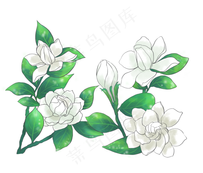 栀子花清新手绘盛夏