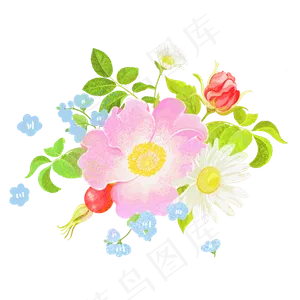 彩色鲜花