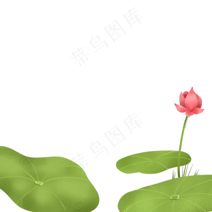 荷叶荷花荷花池 (1688X1688(DPI:132))psd模版下载