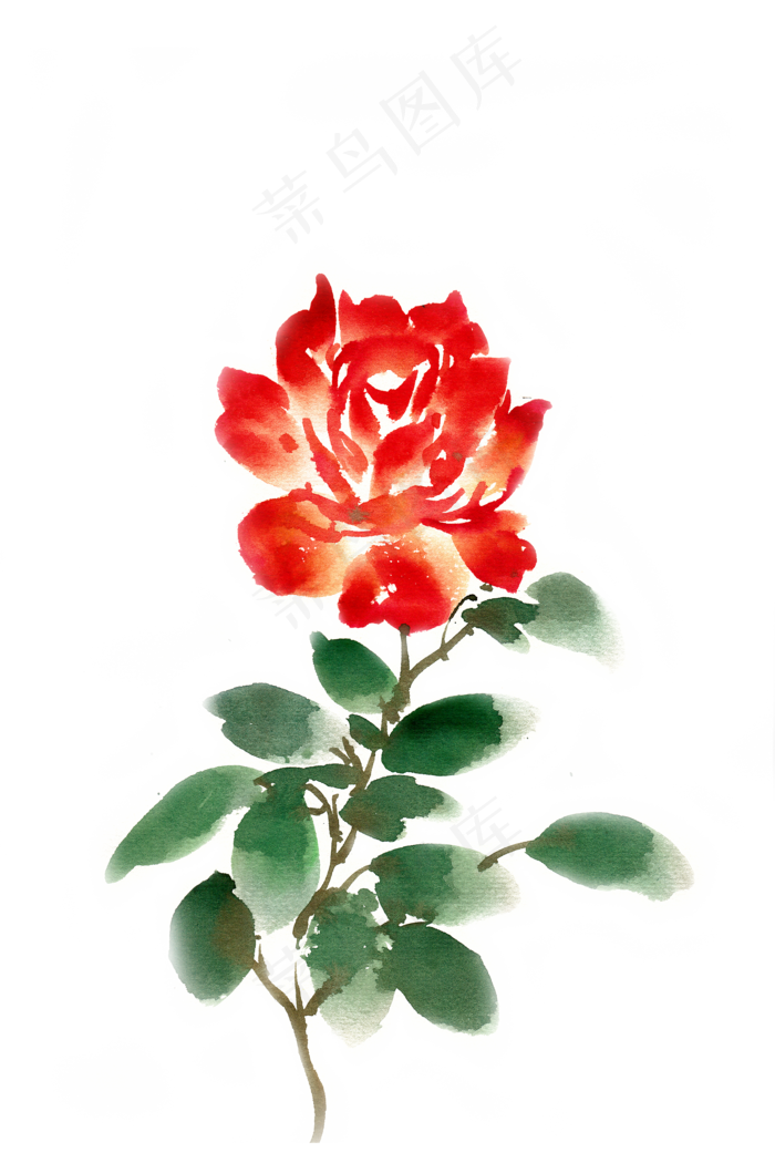 水彩花卉红色的玫瑰(4724X7087(DPI:300))psd模版下载