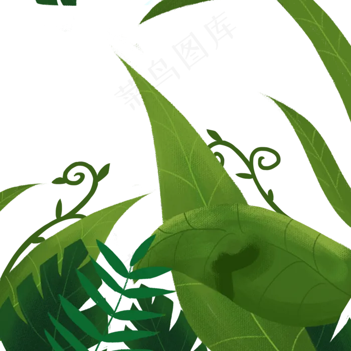 卡通植物叶子免抠图(2000X2000(DPI:300))psd模版下载
