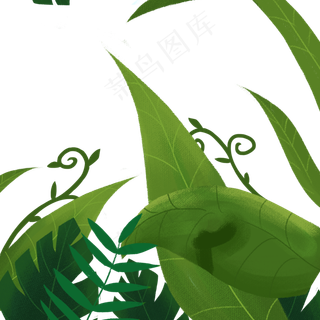 卡通植物叶子免抠图