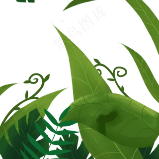卡通植物叶子免抠图