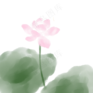 荷花大暑荷花莲花