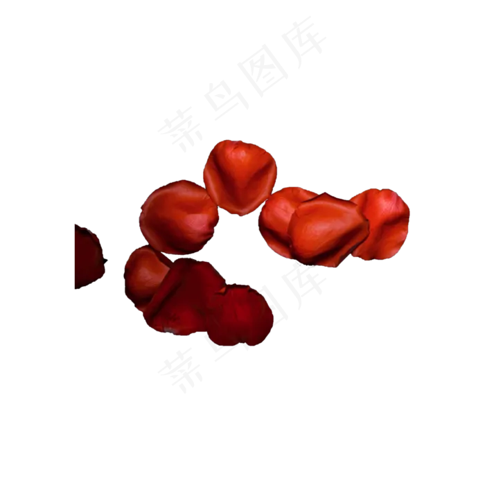 玫瑰花瓣实拍（png免抠）(2000X2000(DPI:72))psd模版下载