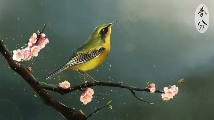 春分-雨后花香-桃花(2880X1620(DPI:300))psd模版下载