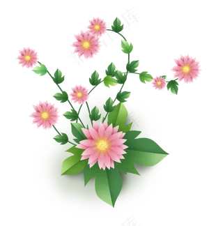 立体折纸感非洲菊