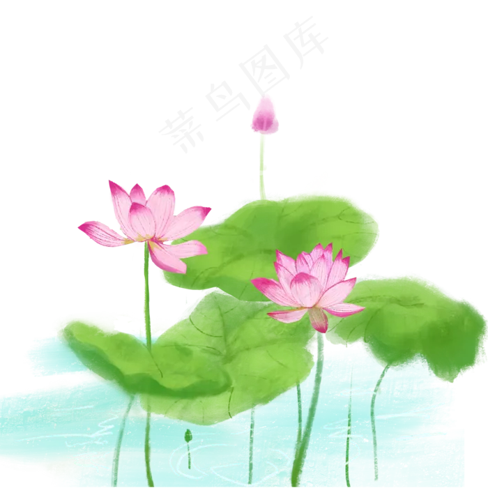 夏日荷花(2000X2000(DPI:300))psd模版下载