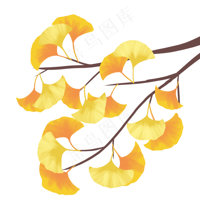 两色银杏叶(2000X2000)