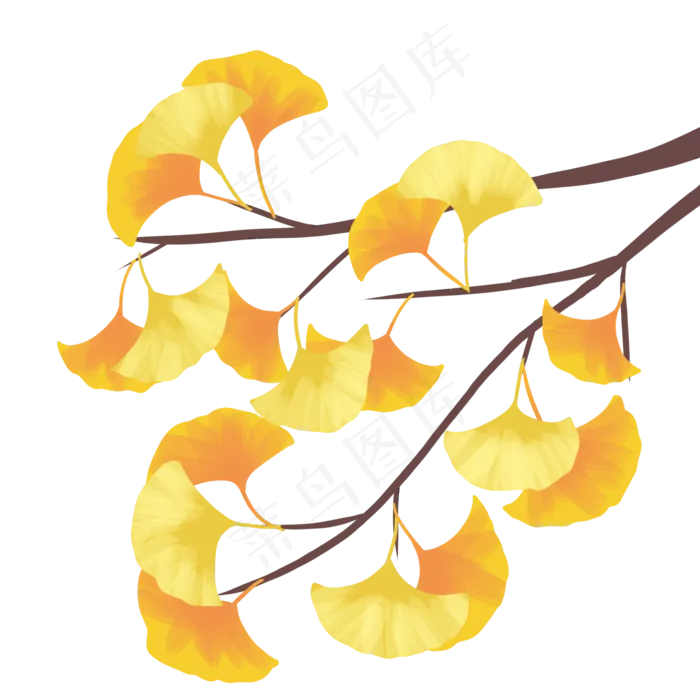 两色银杏叶(2000X2000)