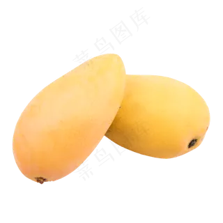 枇杷水果 枇杷水果