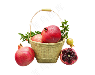 手提篮红石榴